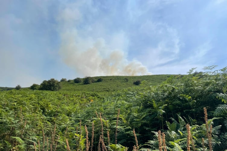 Drones helped firefighters monitor the wildfire and coordinate efforts over challenging terrain