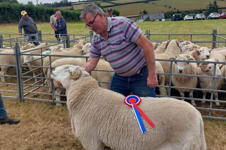 Geoffrey Jones with the Welsh ram