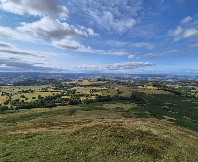 Readers' summer colours photography
