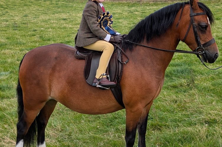 Overall Pony Show Champion Franky Phillips with her pony, Forlan Sugar Honeypops