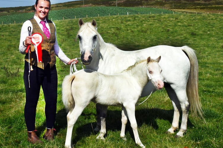 Ffion Price with Bluebell, Champion Welsh Mountain Pony