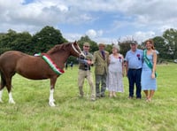 IN PICTURES: Sunshine and smiles at Lower Chapel Show
