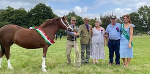IN PICTURES: Sunshine and smiles at Lower Chapel Show