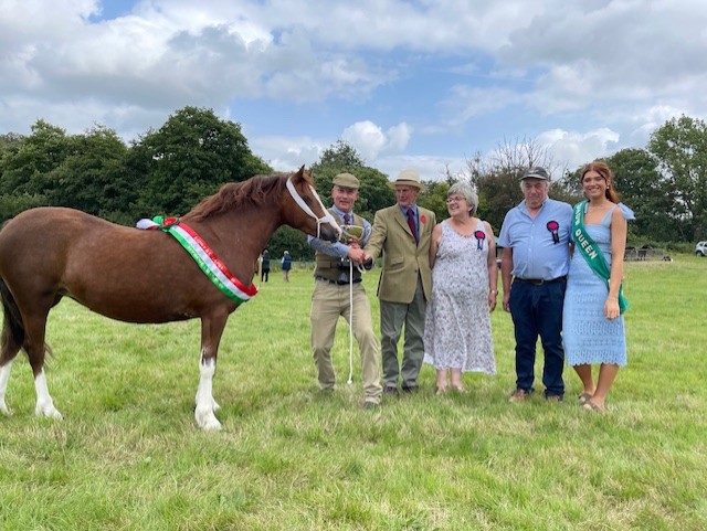 Supreme Champion Llecfan Debutante, shown by Lee Harrison