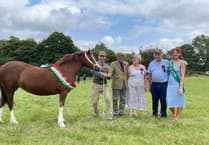 IN PICTURES: Sunshine and smiles at Lower Chapel Show
