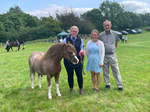 Champion of Welsh Section A & B Dargale Apollo, shown by Dani Harley
