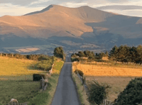 Picture This: Celebrating World Photography Day!