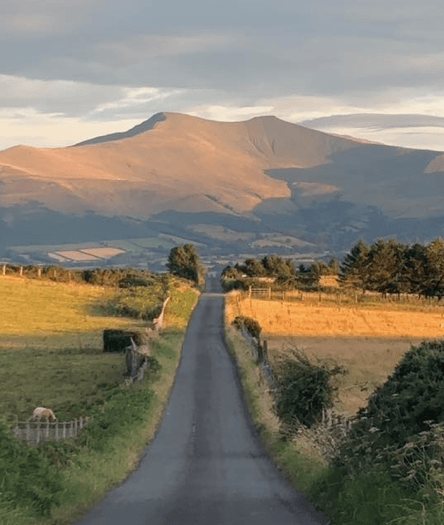 Picture This: Celebrating World Photography Day!