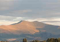 Picture This: Celebrating World Photography Day!