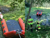 WATCH: Brecon firefighters rescue sheep stranded on pond island