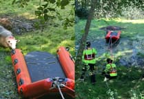 WATCH: Brecon firefighters rescue sheep stranded on pond island