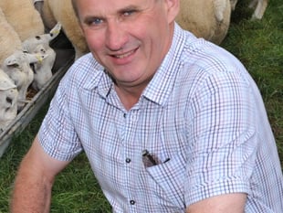 Union backs report calling for meat body reform