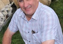 Union backs report calling for meat body reform