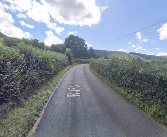 Horse dies after collision with car near village