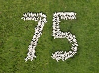 Brecon to host British Wool 75th anniversary open day