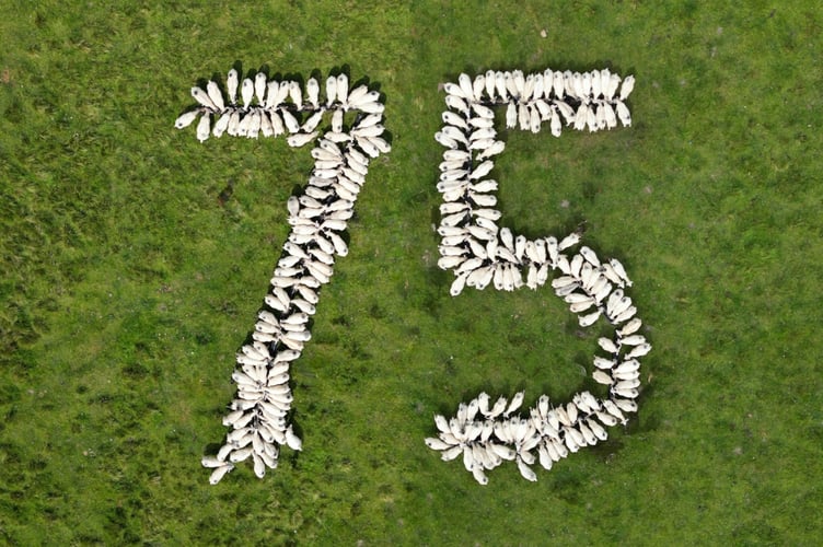 Farmer Tom Carlisle’s sheep arranged to celebrate 75 years of British Wool