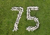Brecon to host British Wool 75th anniversary open day