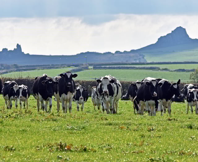 Nominations sought for outstanding dairy person in Wales
