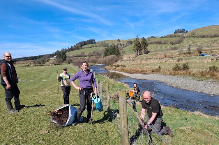 Happy tree planters
