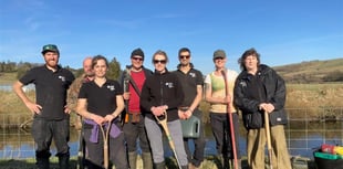 Upper Wye river restoration marks first-year success