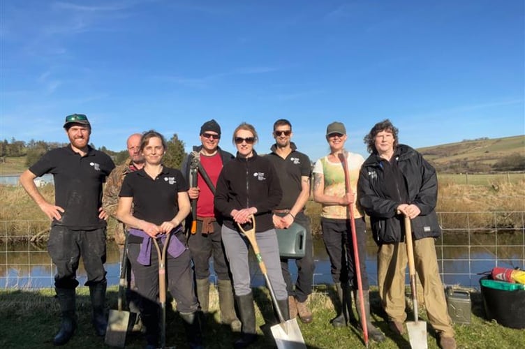 A tree planting day