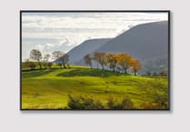 Gwernyfed students join leading artists in Glasbury exhibition