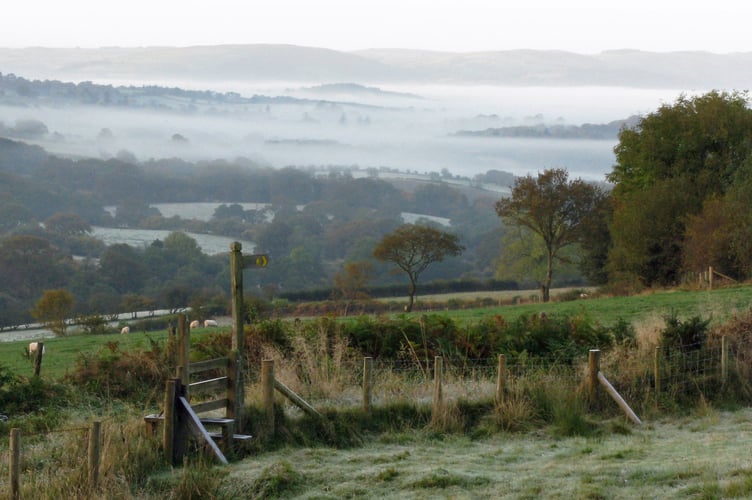 Autumn mist at Ty Gwyn Farm.