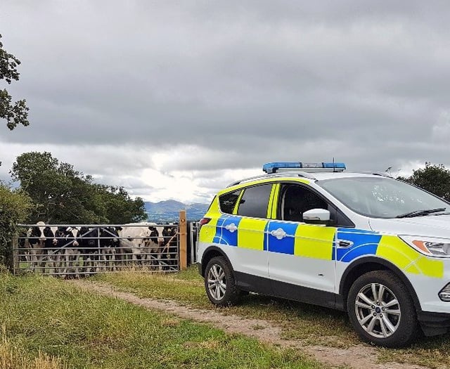 FUW column: Protecting our countryside against rural crime