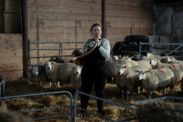 Sheep Festival teams up with cinema to present documentary screening