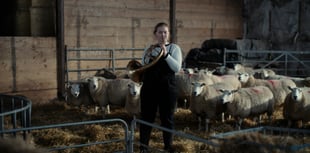 Sheep Festival teams up with cinema to present documentary screening
