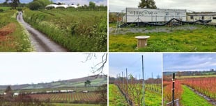 Fruit firm loses planning battle over polytunnels and caravans