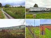 Fruit firm loses planning battle over polytunnels and caravans