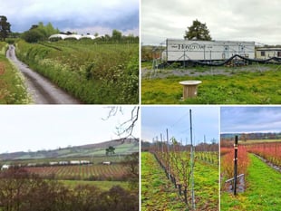 Fruit firm loses planning battle over polytunnels and caravans