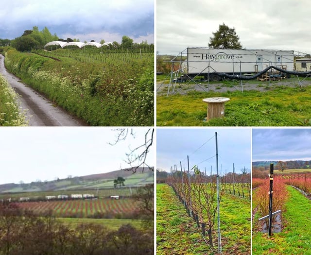 Fruit firm loses planning battle over polytunnels and caravans