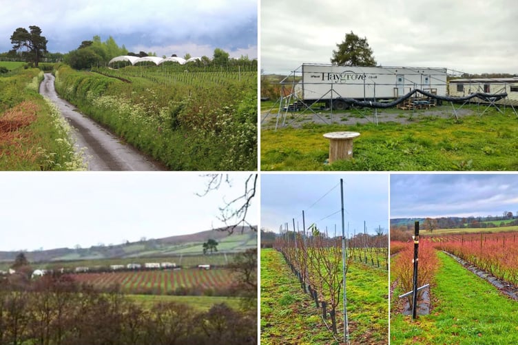 Haygrove's Mahollam Road farm comp