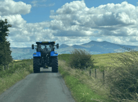 Video: Picture This - Best of summer!