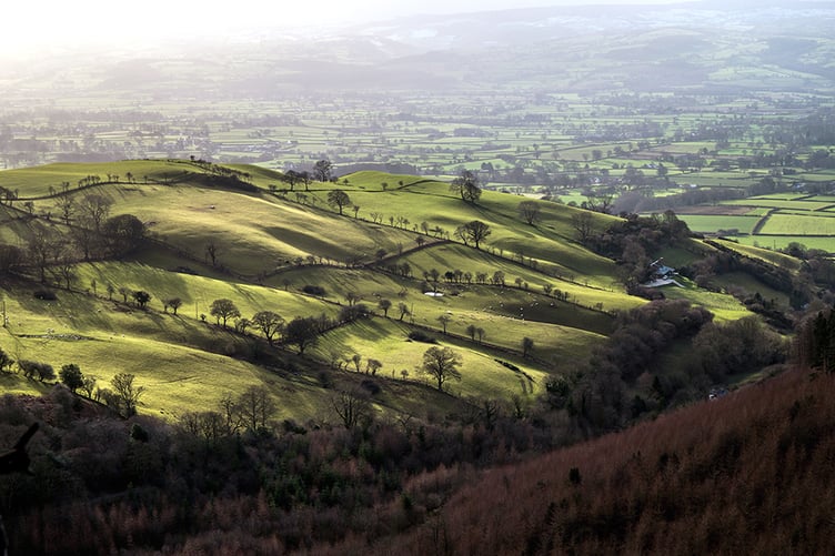 FUW experts will guide local farmers through the new Sustainable Farming Scheme