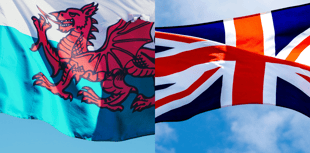 Council warns unauthorised public flags may be 'perceived as divisive’