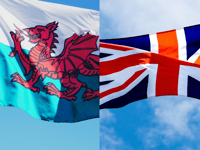 Council warns unauthorised public flags may be 'perceived as divisive’