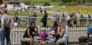 Royal Welsh Society axes Spring Festival to focus on future