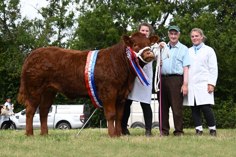 Elfed Williams, Katie and Lucy Davies with Champion in the Cattle Section