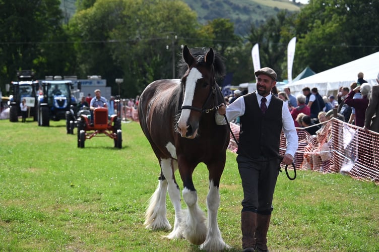 John Nantmadog with his Shire Horse depicting the start of Sennybridge Show in 1865