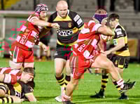 Drovers upend reigning champions Newport with bonus-point win