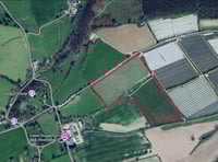 Fruit grower says polytunnel ruling 'puts views ahead of food'