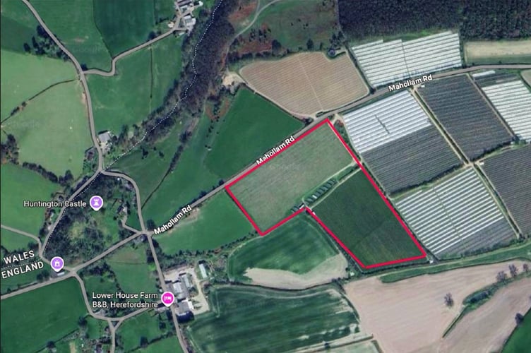 The two fields and worker caravans at Haygrove's Mahollam Road farm