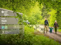 Nash Wood walking trail and car park to close for forest work