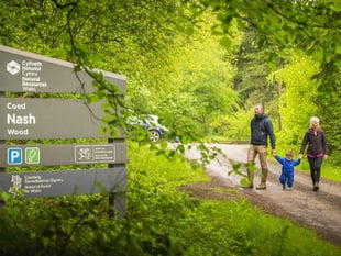 Nash Wood walking trail and car park to close for forest work