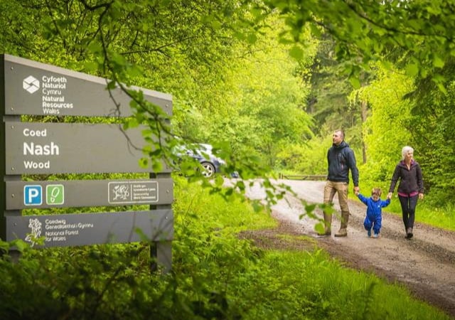 Nash Wood walking trail and car park to close for forest work