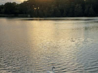 Video: Picture This - Reflections in Brecon and Radnorshire!