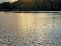 Video: Picture This - Reflections in Brecon and Radnorshire!
